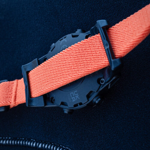 Remora Webbing Strap